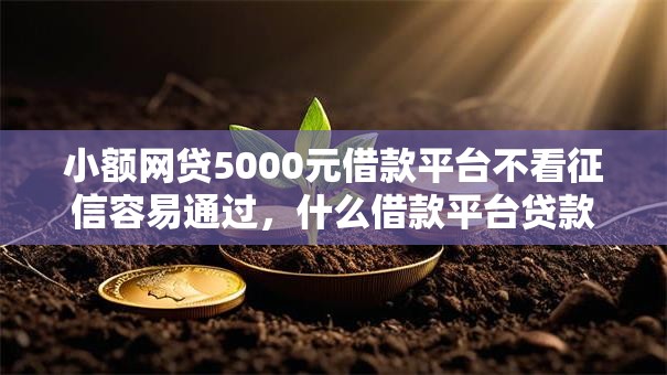 小额网贷5000元借款平台不看征信容易通过，什么借款平台贷款必过征信的6个平台介绍