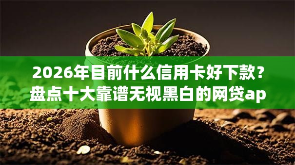 2026年目前什么信用卡好下款？盘点十大靠谱无视黑白的网贷app