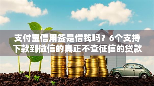 支付宝信用签是借钱吗？6个支持下款到微信的真正不查征信的贷款口子