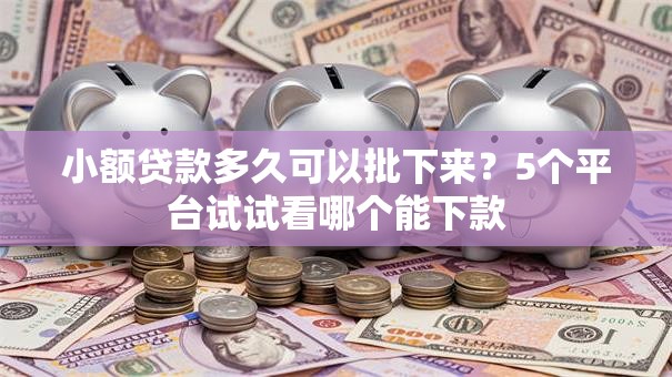 小额贷款多久可以批下来？5个平台试试看哪个能下款