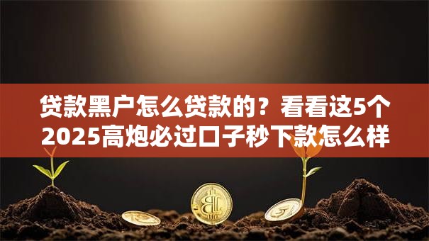 贷款黑户怎么贷款的？看看这5个2025高炮必过口子秒下款怎么样