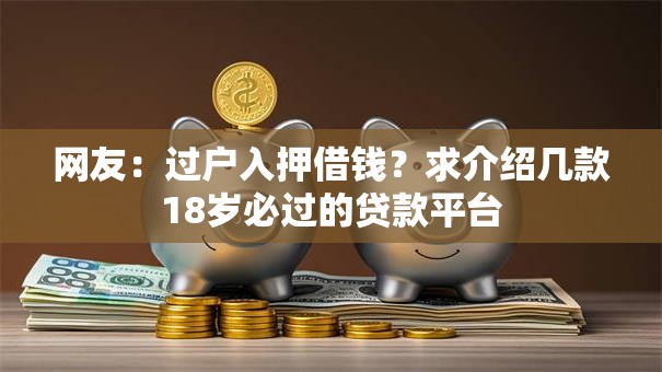网友：过户入押借钱？求介绍几款18岁必过的贷款平台