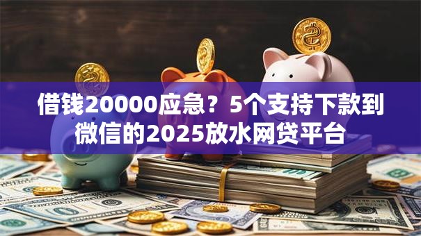 借钱20000应急？5个支持下款到微信的2025放水网贷平台