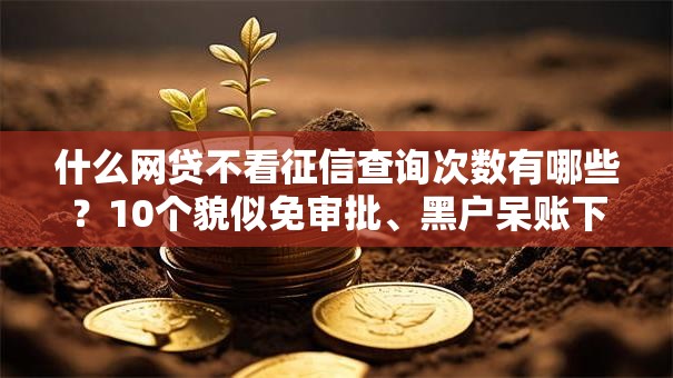 什么网贷不看征信查询次数有哪些？10个貌似免审批、黑户呆账下款口子合集