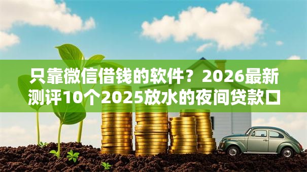 只靠微信借钱的软件？2026最新测评10个2025放水的夜间贷款口子