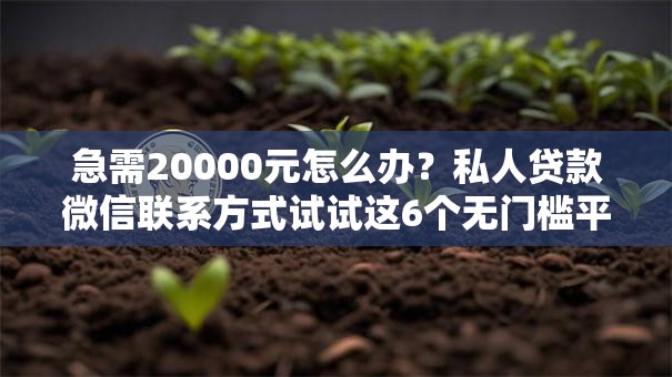急需20000元怎么办？私人贷款微信联系方式试试这6个无门槛平台