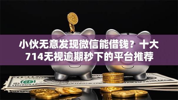 小伙无意发现微信能借钱？十大714无视逾期秒下的平台推荐