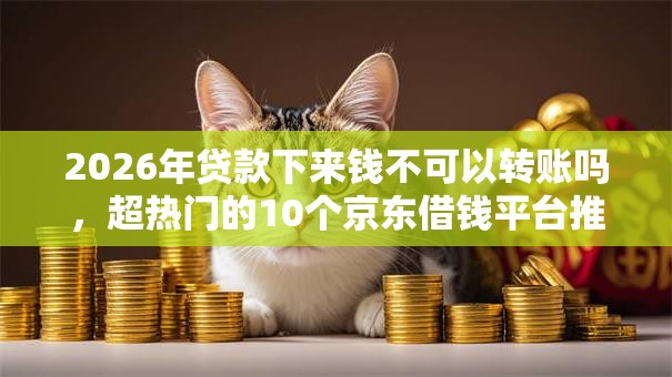 2026年贷款下来钱不可以转账吗，超热门的10个京东借钱平台推荐