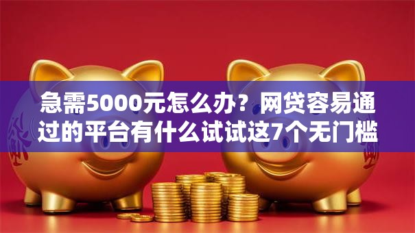 急需5000元怎么办？网贷容易通过的平台有什么试试这7个无门槛平台