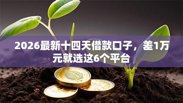 2026最新十四天借款口子，差1万元就选这6个平台