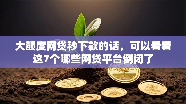 大额度网贷秒下款的话，可以看看这7个哪些网贷平台倒闭了