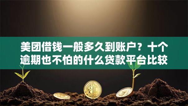 美团借钱一般多久到账户？十个逾期也不怕的什么贷款平台比较靠谱