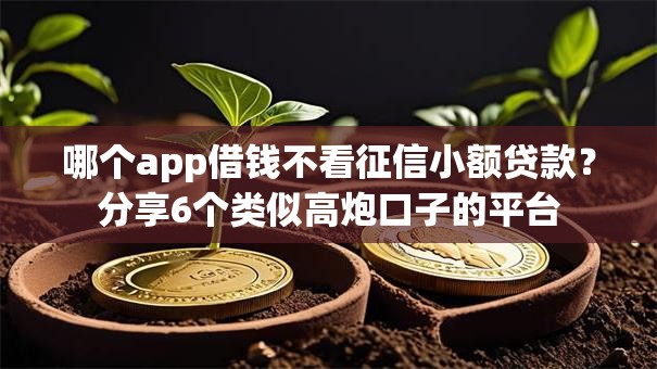 哪个app借钱不看征信小额贷款？分享6个类似高炮口子的平台