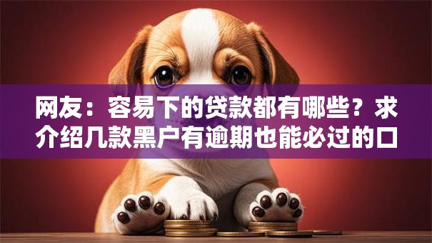 网友：容易下的贷款都有哪些？求介绍几款黑户有逾期也能必过的口子