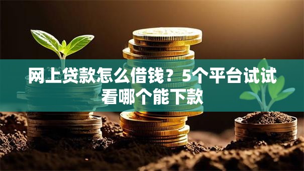网上贷款怎么借钱？5个平台试试看哪个能下款