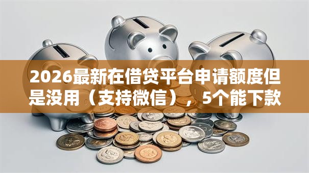 2026最新在借贷平台申请额度但是没用（支持微信），5个能下款的借款平台2025无私分享