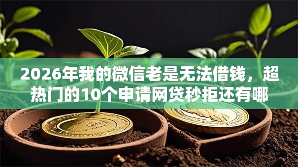 2026年我的微信老是无法借钱，超热门的10个申请网贷秒拒还有哪几个平台可以借推荐