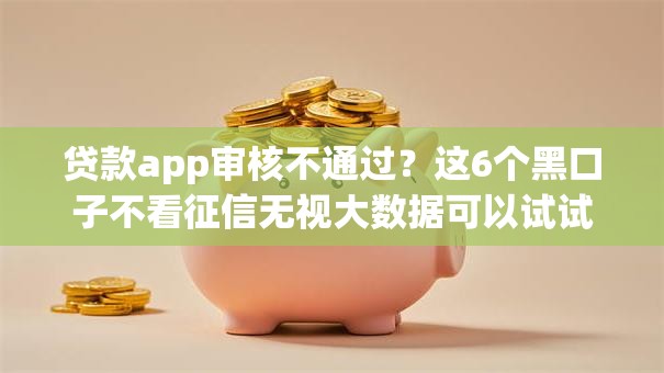 贷款app审核不通过？这6个黑口子不看征信无视大数据可以试试