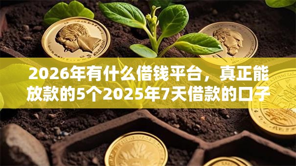 2026年有什么借钱平台，真正能放款的5个2025年7天借款的口子秒到的推荐