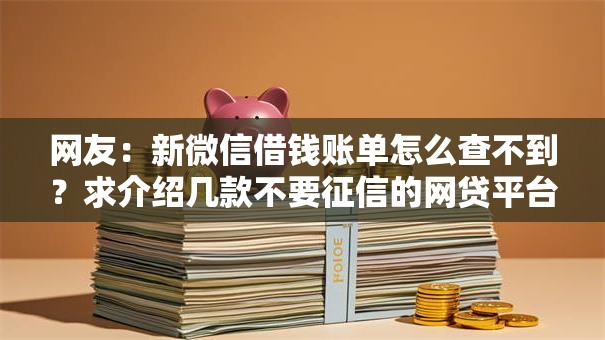 网友：新微信借钱账单怎么查不到？求介绍几款不要征信的网贷平台