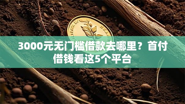 3000元无门槛借款去哪里？首付借钱看这5个平台