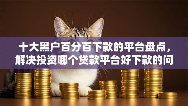 十大黑户百分百下款的平台盘点，解决投资哪个贷款平台好下款的问题