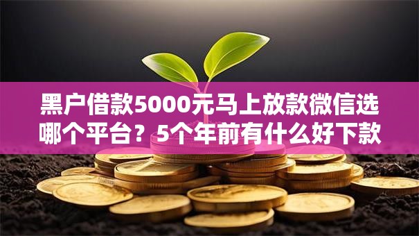 黑户借款5000元马上放款微信选哪个平台？5个年前有什么好下款的贷款平台推荐