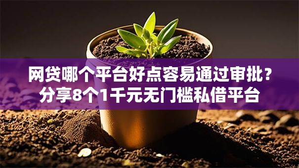 网贷哪个平台好点容易通过审批？分享8个1千元无门槛私借平台