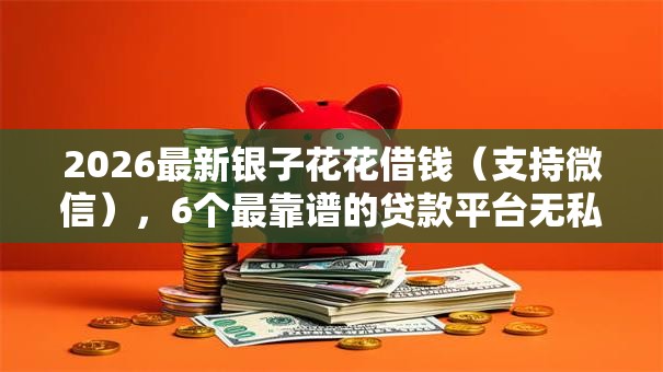 2026最新银子花花借钱（支持微信），6个最靠谱的贷款平台无私分享