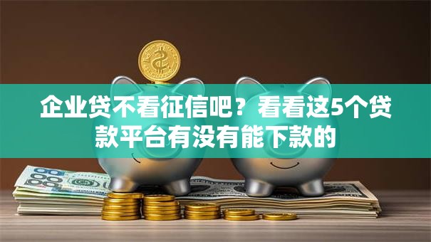 企业贷不看征信吧？看看这5个贷款平台有没有能下款的