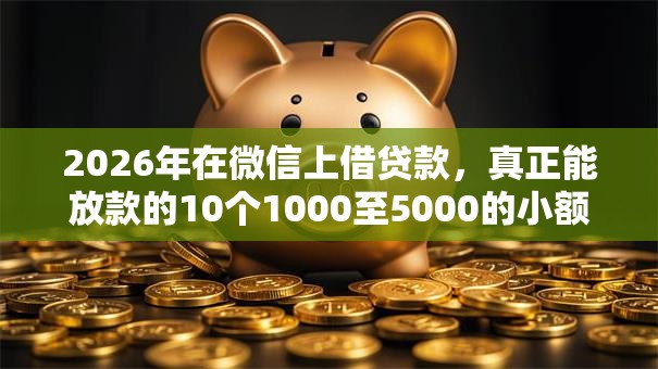 2026年在微信上借贷款，真正能放款的10个1000至5000的小额贷款平台推荐