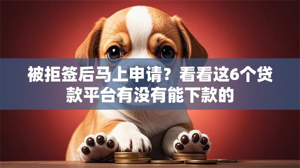 被拒签后马上申请？看看这6个贷款平台有没有能下款的