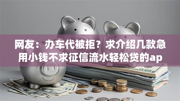 网友：办车代被拒？求介绍几款急用小钱不求征信流水轻松贷的app