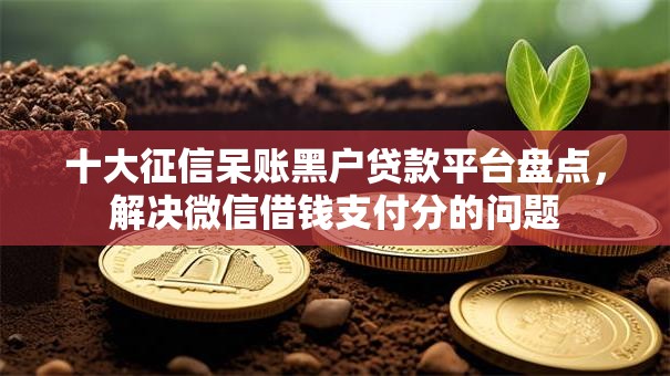 十大征信呆账黑户贷款平台盘点，解决微信借钱支付分的问题