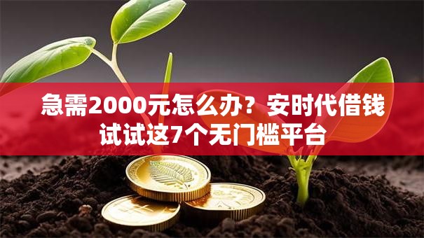 急需2000元怎么办？安时代借钱试试这7个无门槛平台