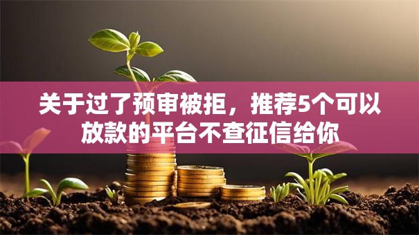 关于过了预审被拒，推荐5个可以放款的平台不查征信给你