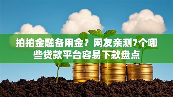 拍拍金融备用金？网友亲测7个哪些贷款平台容易下款盘点