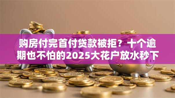 购房付完首付贷款被拒？十个逾期也不怕的2025大花户放水秒下款的口子