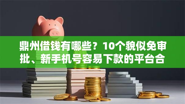 鼎州借钱有哪些？10个貌似免审批、新手机号容易下款的平台合集