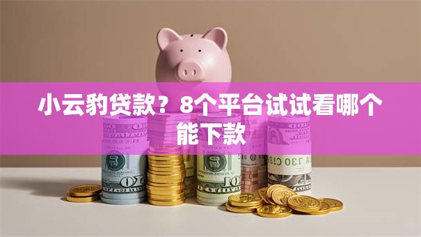 小云豹贷款？8个平台试试看哪个能下款