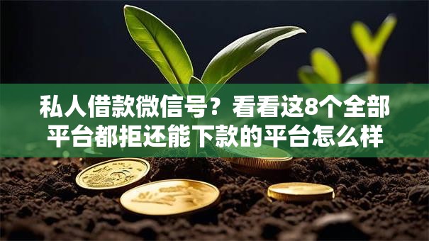 私人借款微信号？看看这8个全部平台都拒还能下款的平台怎么样