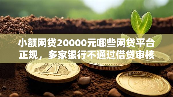 小额网贷20000元哪些网贷平台正规，多家银行不通过借贷审核的5个平台介绍