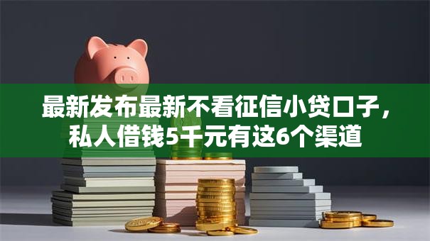 最新发布最新不看征信小贷口子，私人借钱5千元有这6个渠道