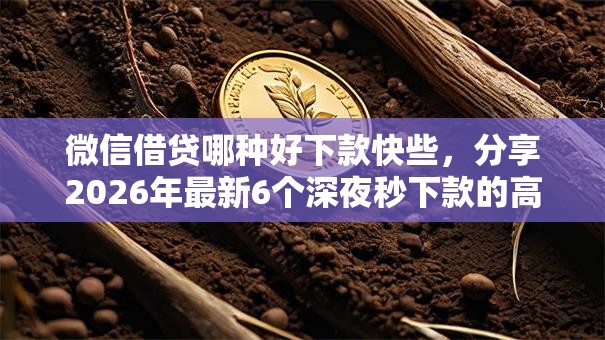 微信借贷哪种好下款快些，分享2026年最新6个深夜秒下款的高炮口子