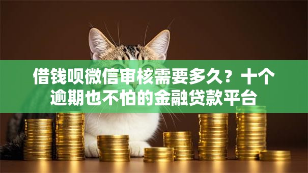 借钱呗微信审核需要多久？十个逾期也不怕的金融贷款平台