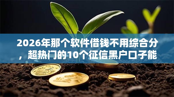 2026年那个软件借钱不用综合分，超热门的10个征信黑户口子能贷款推荐