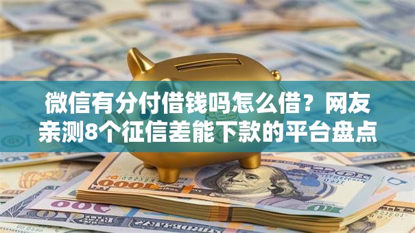 微信有分付借钱吗怎么借？网友亲测8个征信差能下款的平台盘点