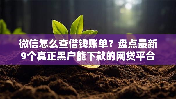 微信怎么查借钱账单?盘点最新9个真正黑户能下款的网贷平台 微信怎么查借钱账单?盘点最新9个真正黑户能下款的网贷平台