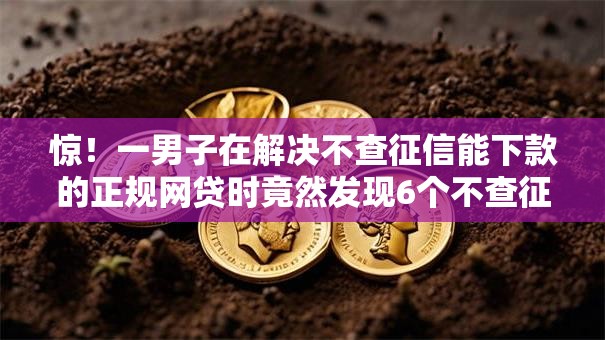 惊！一男子在解决不查征信能下款的正规网贷时竟然发现6个不查征信的贷款平台，事后分享了出来