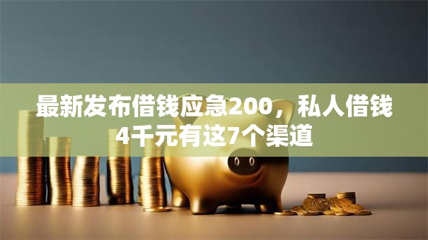 最新发布借钱应急200，私人借钱4千元有这7个渠道